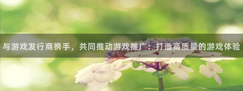 完美电竞官网服装品牌怎么样