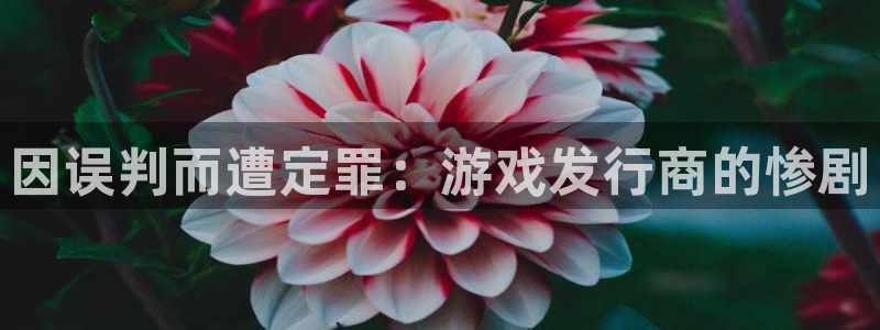 完美电竞官网子上市：因误判而遭定罪：游戏发行商的惨剧