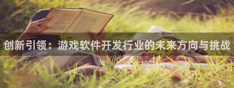 完美电竞平台代理条件如何：创新引领：游戏软件开发行业的未来方向与挑战