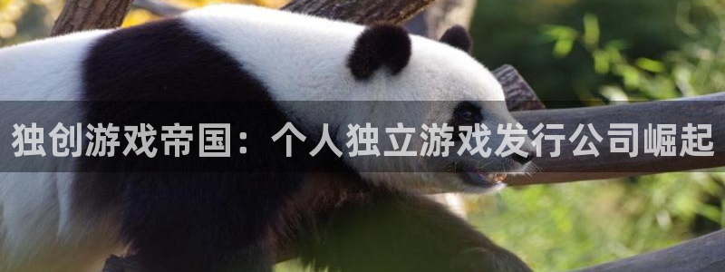 完美电竞官网子文化游戏：独创游戏帝国：个人独立游戏发行公司崛起