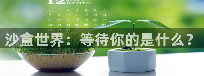 完美电竞客服：沙盒世界：等待你的是什么？