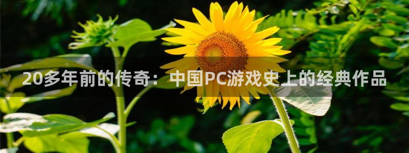 完美电竞官网电商怎么样：20多年前的传奇：中国PC游戏史上的经典作品