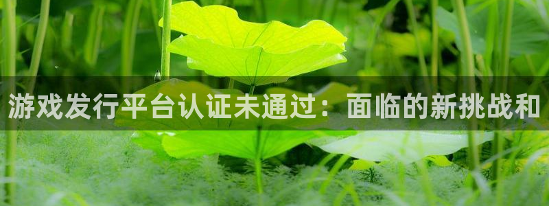 完美电竞官网子招聘：游戏发行平台认证未通过：面临的新挑战和