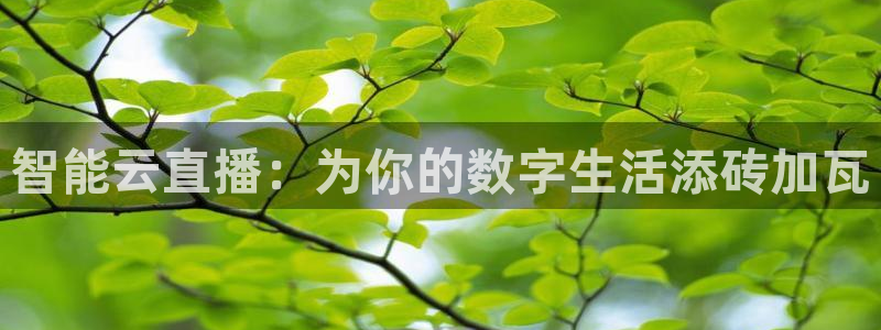 玩球直播官网下载