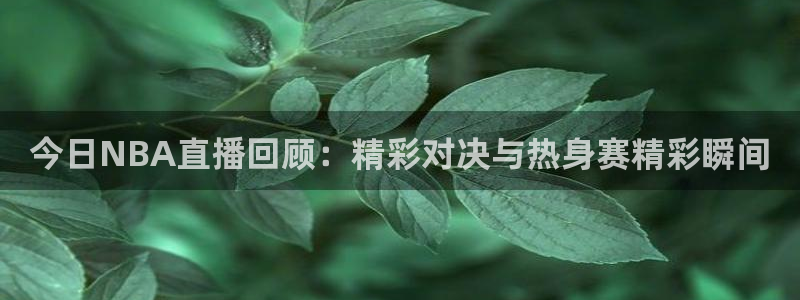 玩球app直播：今日NBA直播回顾：精彩对决与热身赛精彩瞬间