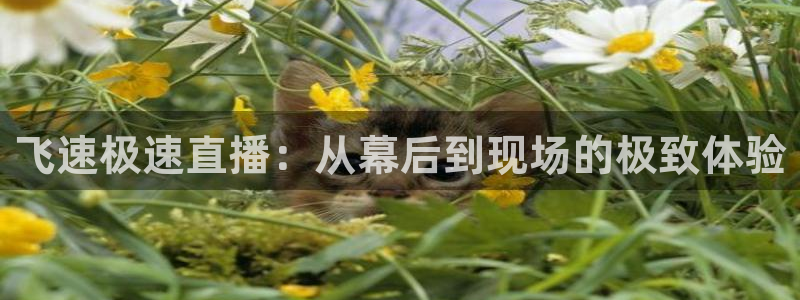 玩球直播app苹果下载：飞速极速直播：从幕后到现场的极致体验