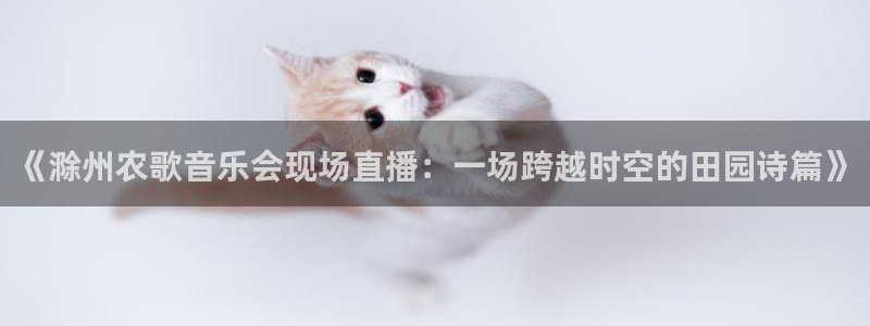 玩球体育直播app：《滁州农歌音乐会现场直播：一场跨越时空的田园诗篇》